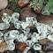 Hiland 50-100mm Landscape Recycled Glass in Ice LR50-GLASS-ICE - alternate 2